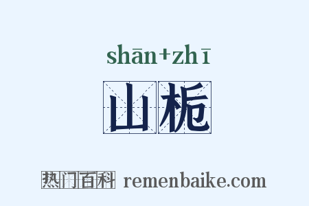 山栀是什么意思的图片